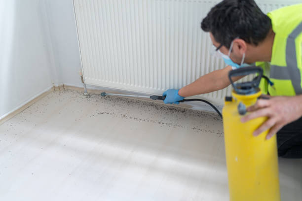 Best Mosquito Control Services  in Childress, TX